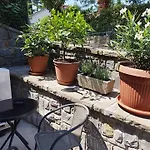 Apartma Edra - Zusterna Apartment Koper
